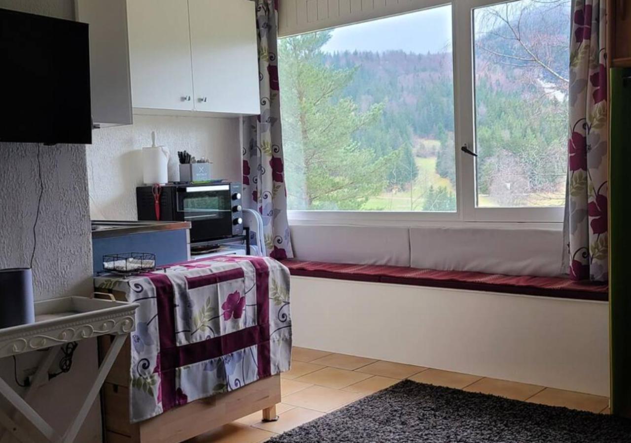 Studio Agreable Et Lumineux Villard-de-Lans Bagian luar foto